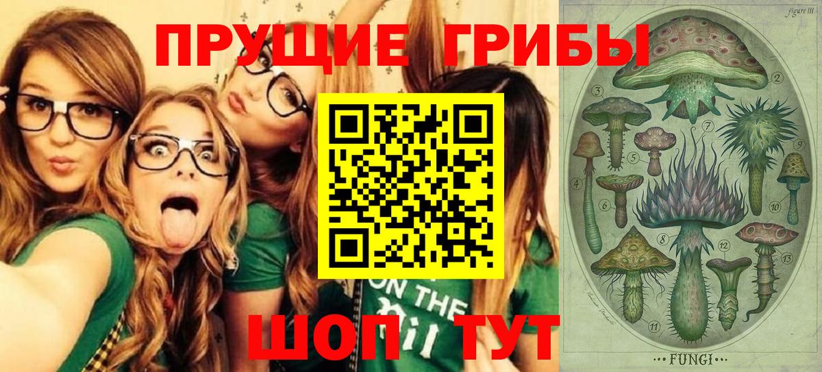 Псилоцибиновые грибы GOLDEN TEACHER Белая Калитва