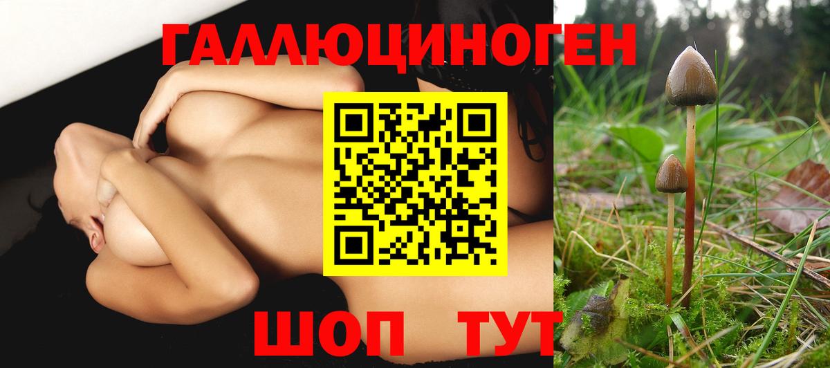 Псилоцибиновые грибы мухоморы  Вход с VPN  Галлюциногенные грибы прущие грибы  Белая Калитва 